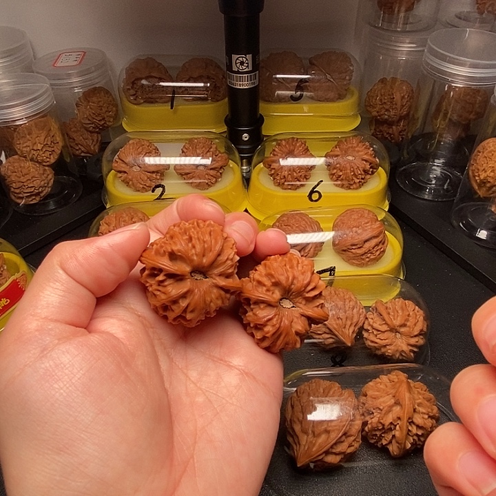 39凹底满肉龙门涧        