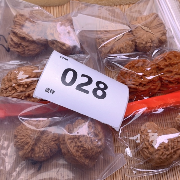文玩核桃把件28号6对