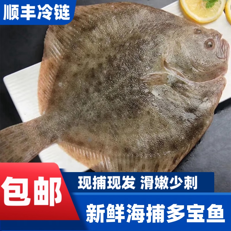 【1.1-1.5斤/条】大号多宝鱼 比目鱼 活鱼海捕锁鲜顺丰冷链发货