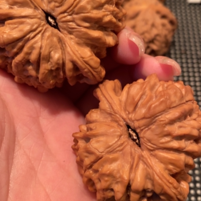 【闪购商品】吊坠文玩核桃岁*龙