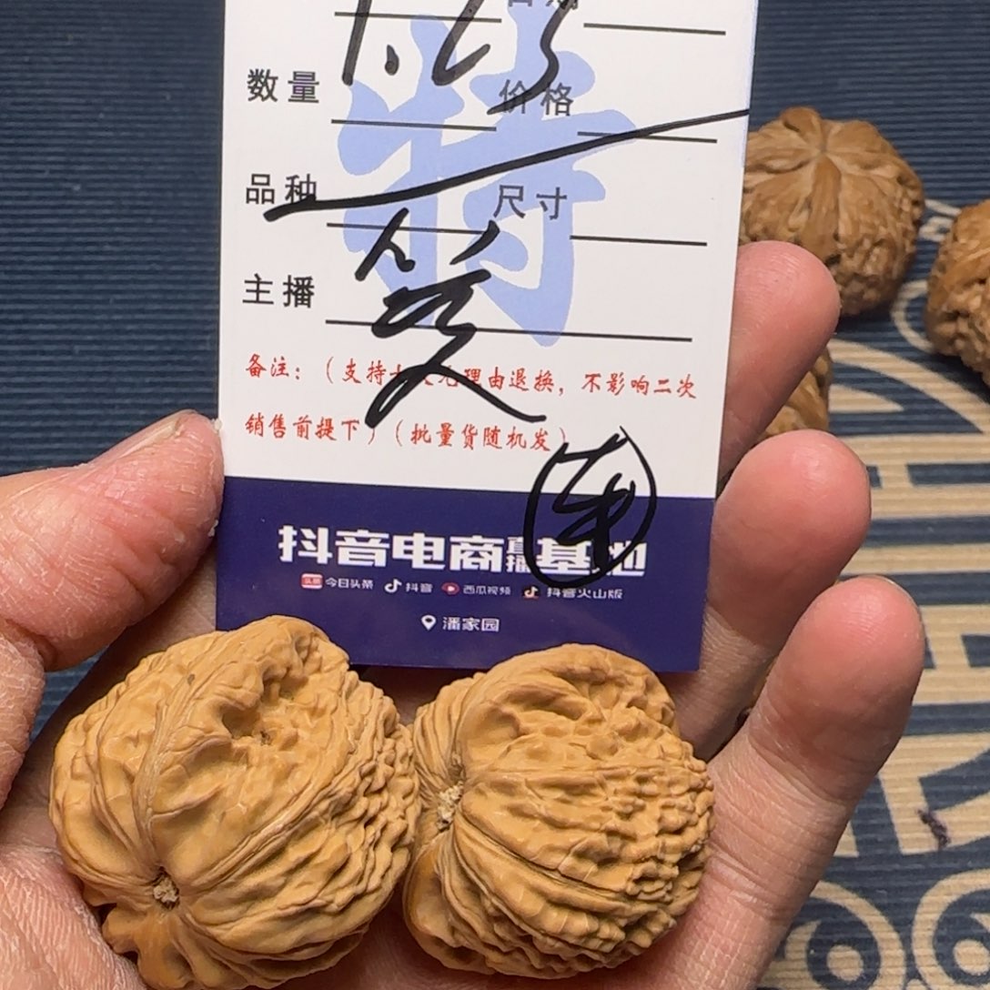 爱*白狮子的故事是一个