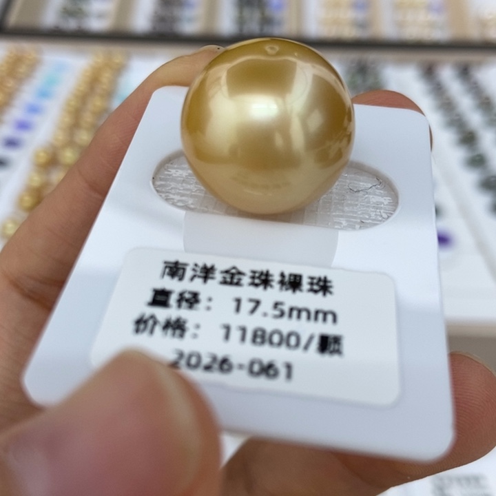 海水珍珠裸珠金珠17-18