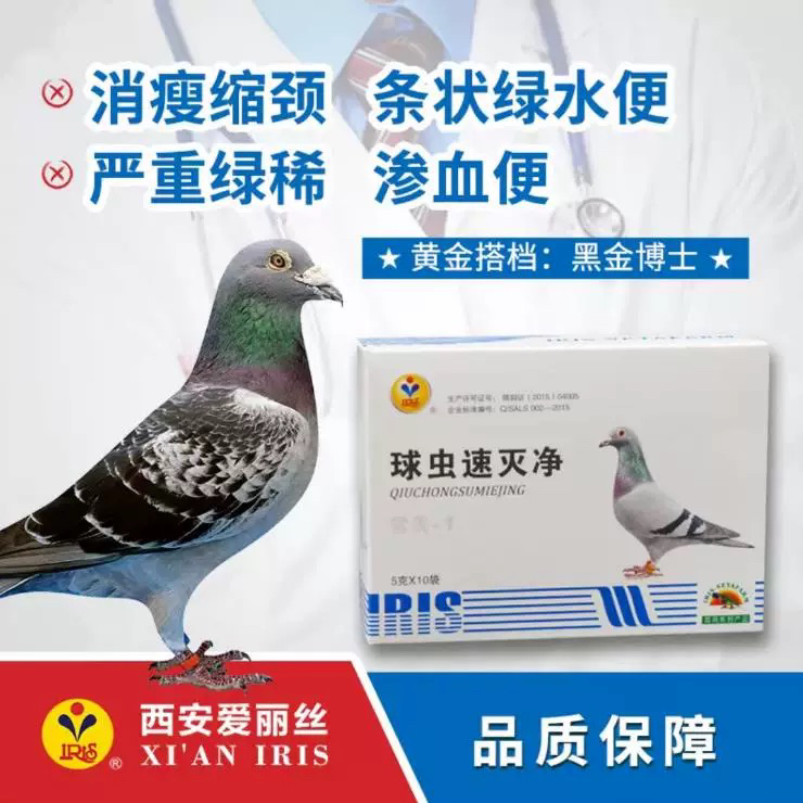 爱丽丝鸽药球虫速灭净胶囊60粒信鸽拉绿便血便清理球虫鸽子药大全