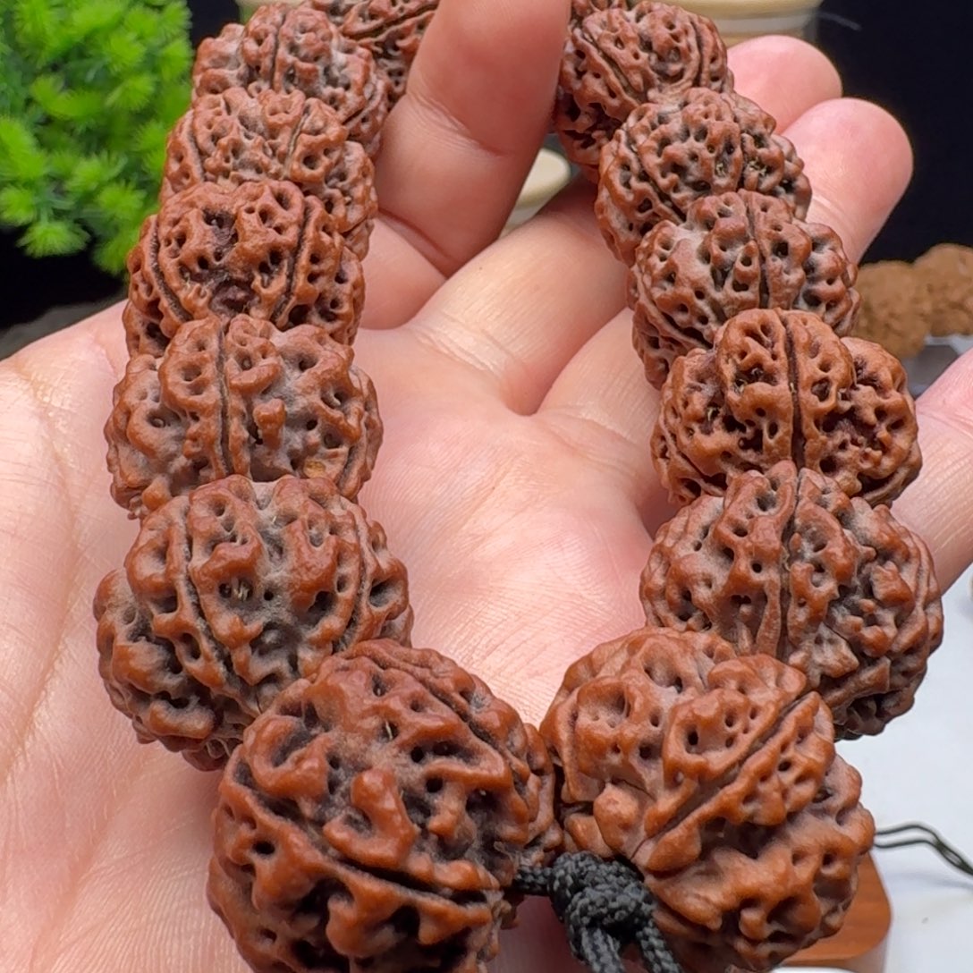 黑***儿手串金刚菩提粗筋双龙