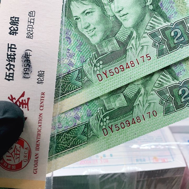 902实心海鸥题材比bbbbbbbbb bbb.