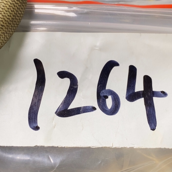 道***缘娜娜文玩杂项专属链接