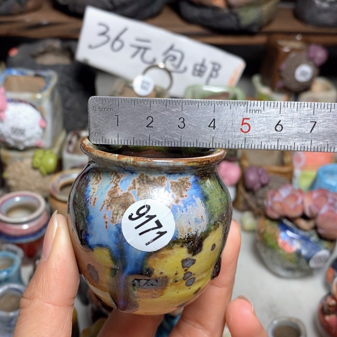 拍5送一个小礼物