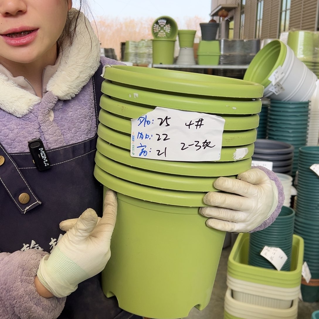 四季盆4#果绿8个无托