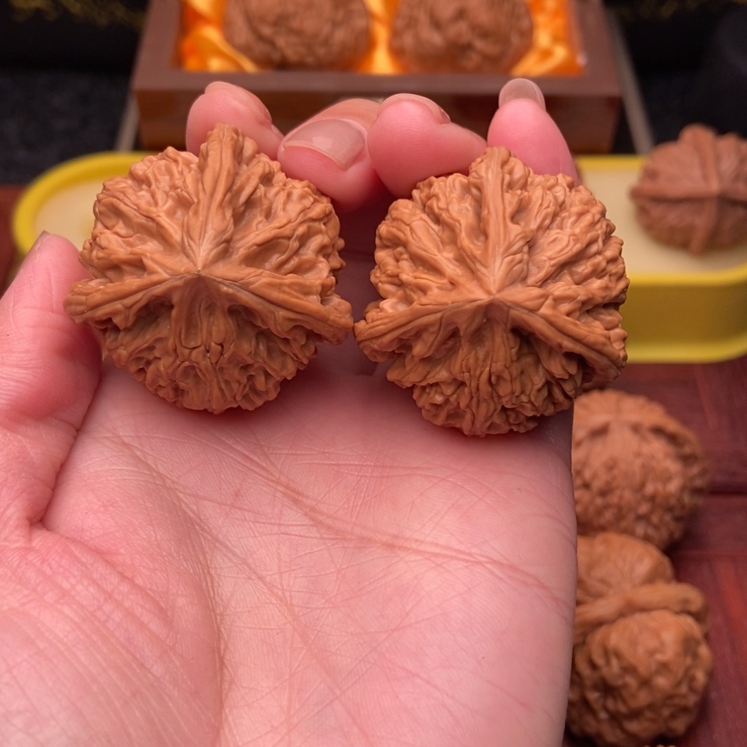 桃核把件御龙粗筋毕业三棱39