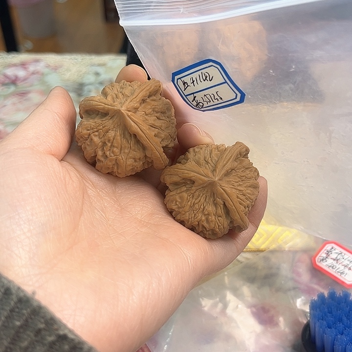 文玩核桃把件小*儿红狮子头三棱