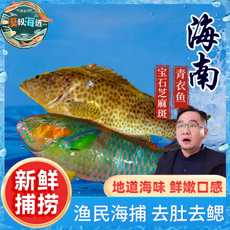 【漠叔自营】特产海鱼鲜活速冻青衣鱼芝麻斑组合渔民手钓捕捞海鲜