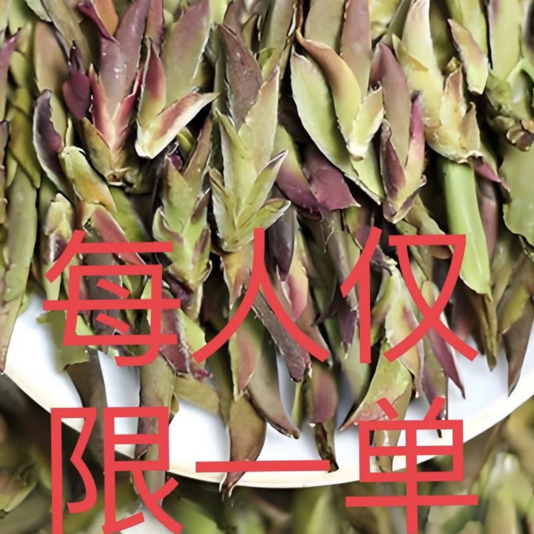 云南古树野茶芽尖  2025年头春头采（紫芽苞）茶者 紫为上