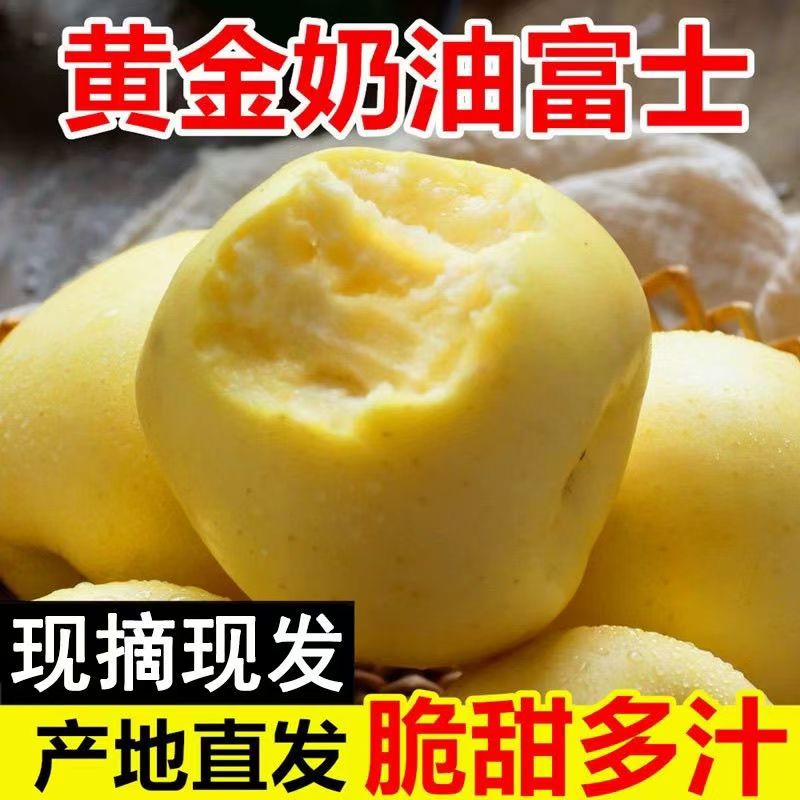 山东烟台栖霞正宗奶油富士苹果酸甜多汁应季老人孩子孕妇新鲜水果