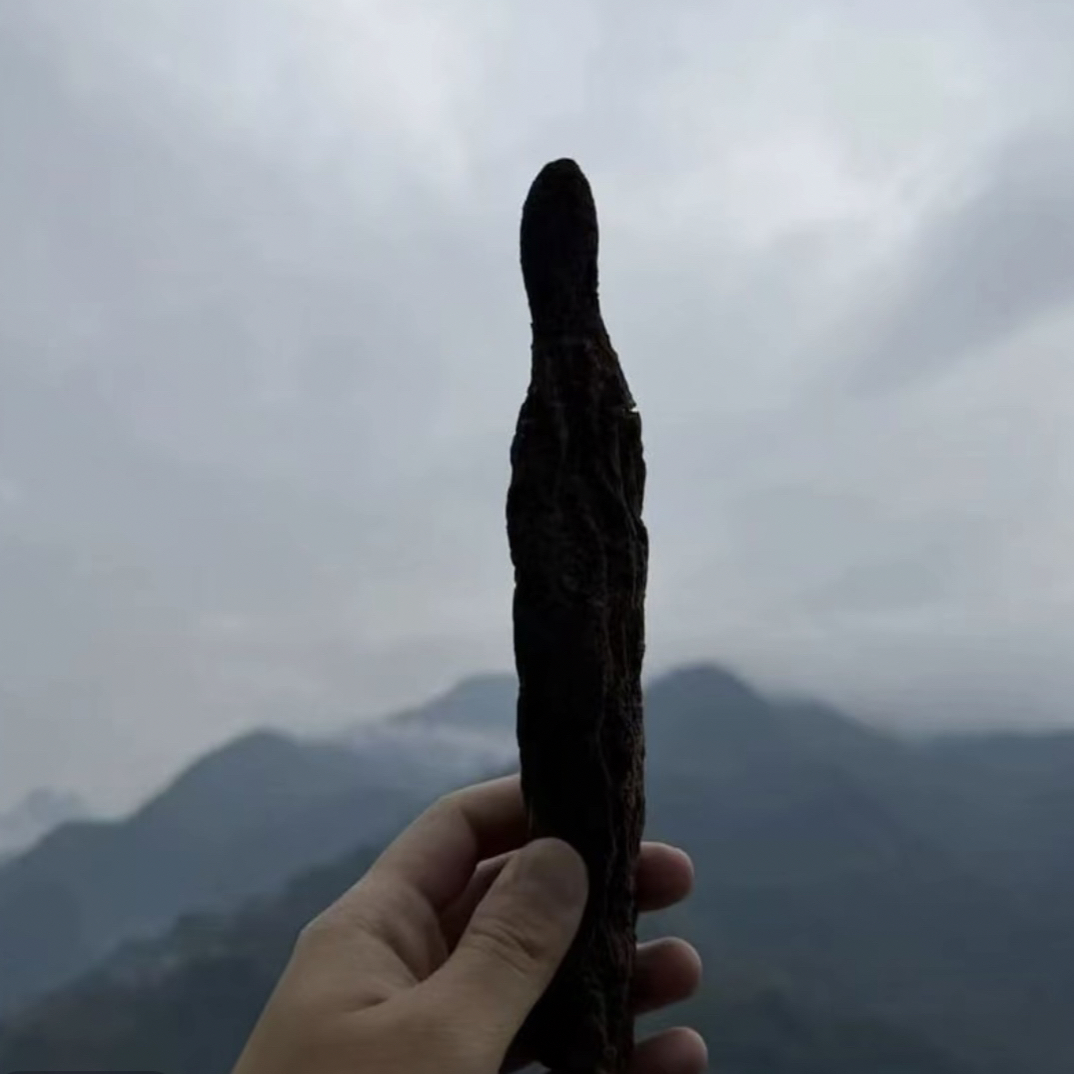 (马马专属)顶天住 六位泡 高山高海拔 精选原料