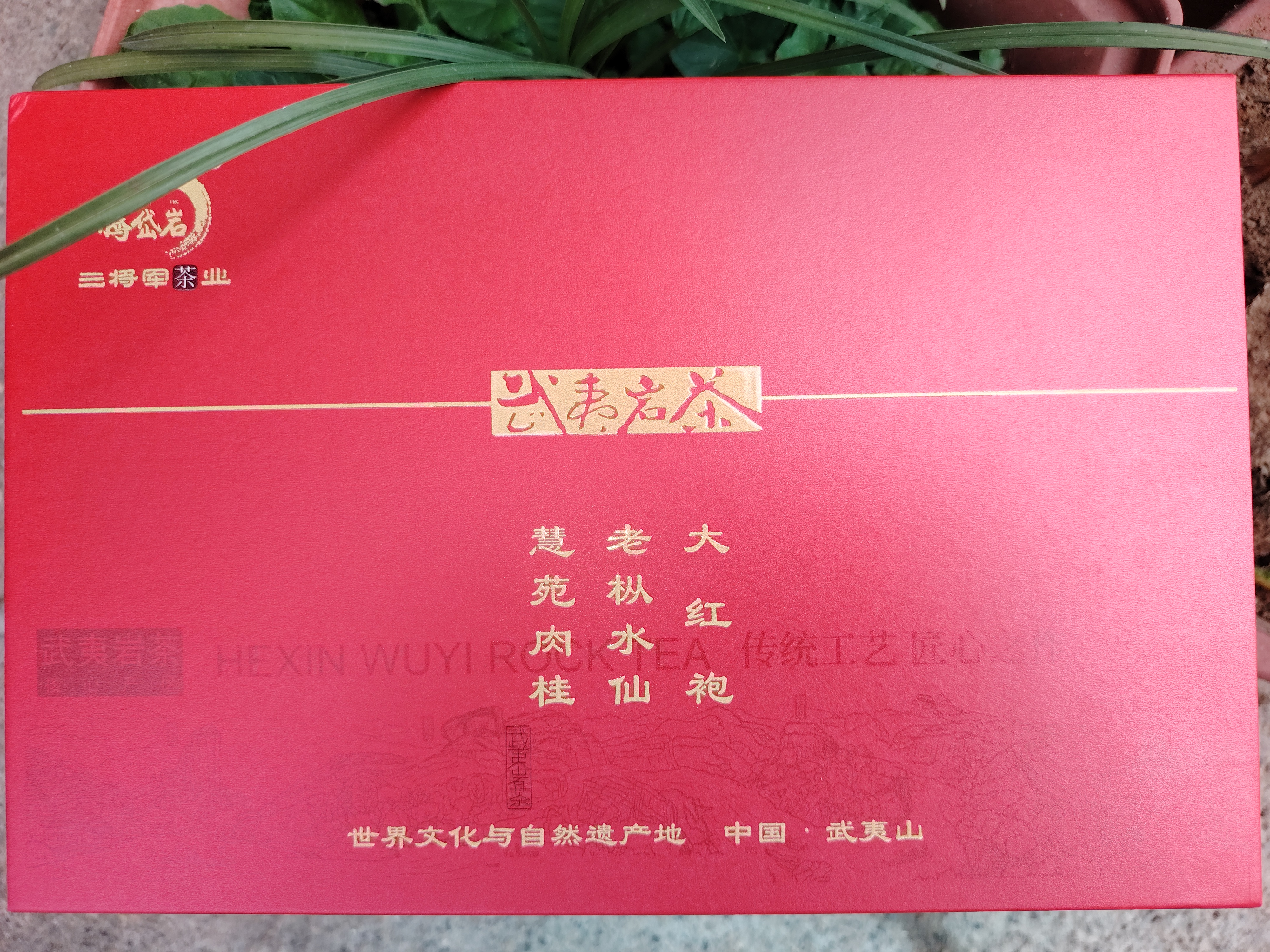 武夷岩茶组合12泡100g