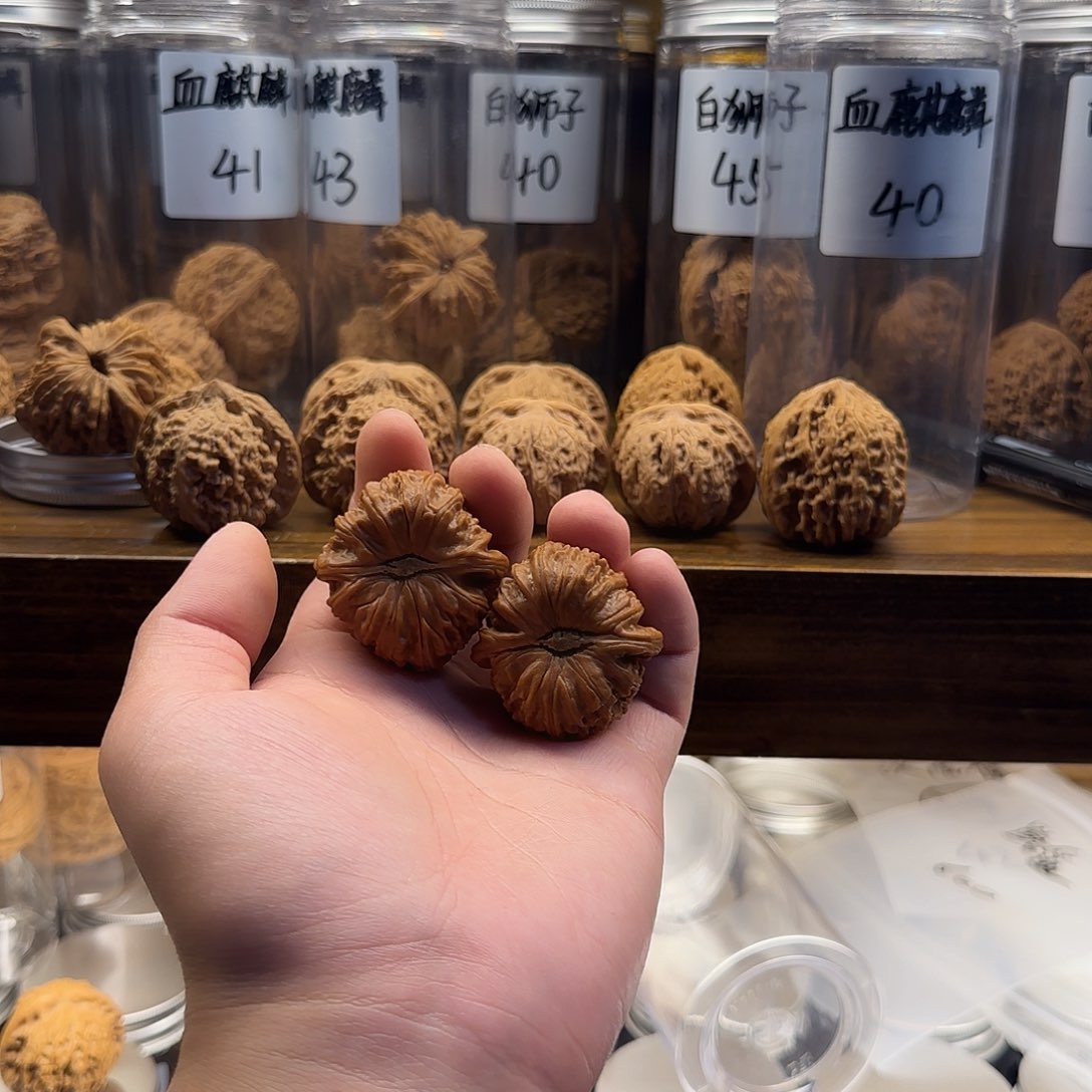 木俱****r白狮子40尺寸全品无修