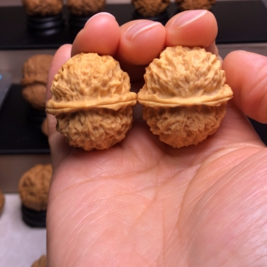 文玩核桃把件珊瑚绣球9