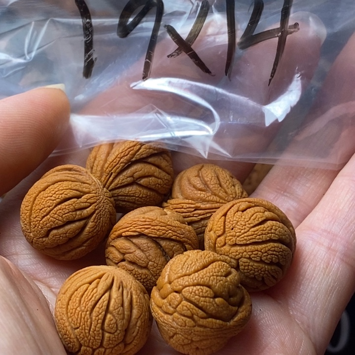 手串文玩核桃秦岭野生龙纹桃核19