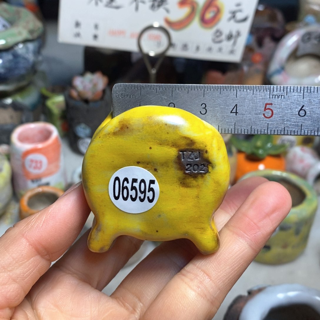 拍3送一个小礼物元旦快乐花盆