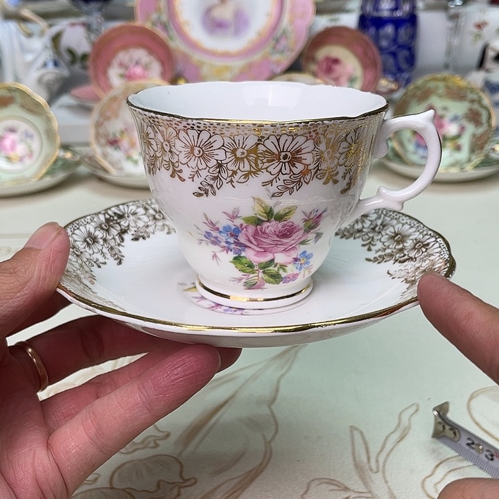 碟维多利亚欧洲中古