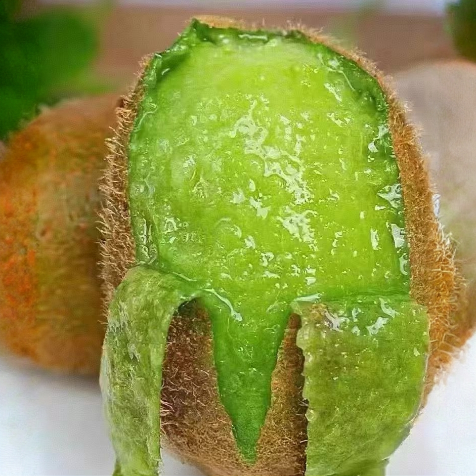 【新疆包邮】正宗贵州贵长修文猕猴桃绿心奇异果当季孕妇新鲜水果