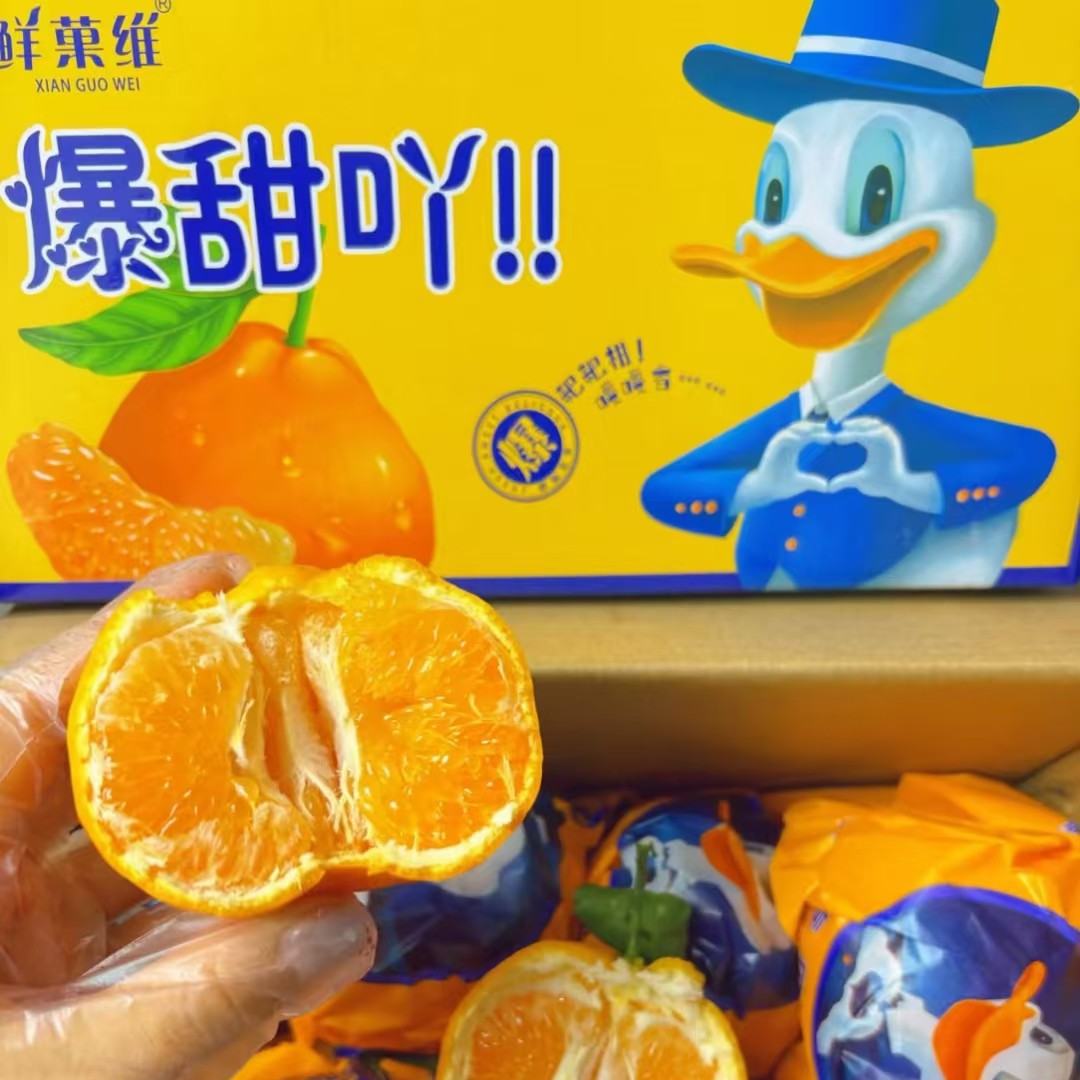 鲜果维爆甜吖耙耙柑一件毛重4.8斤左右四川省