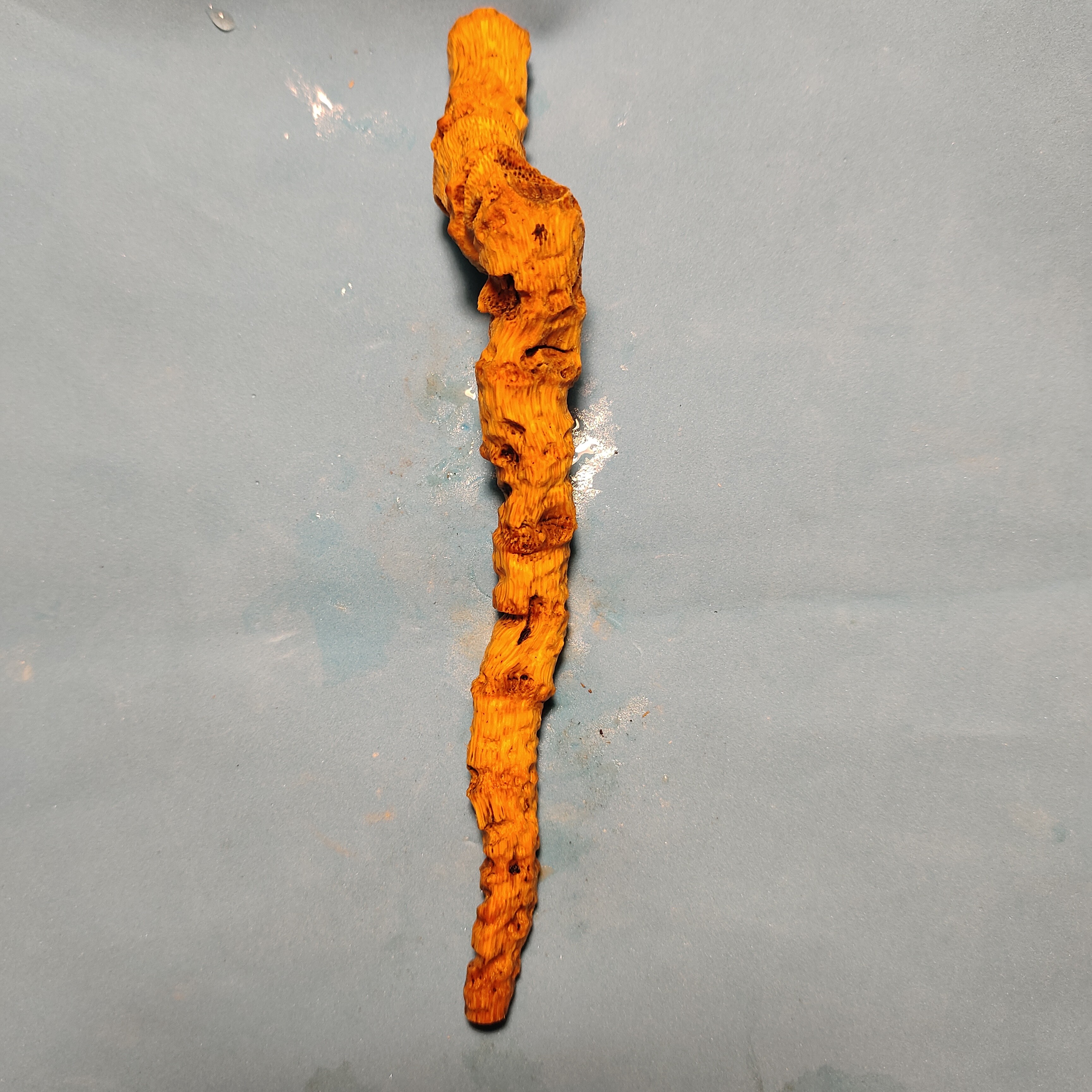 千年老竹鞭老竹根老竹筒老竹片烟杆料手把件茶侧料