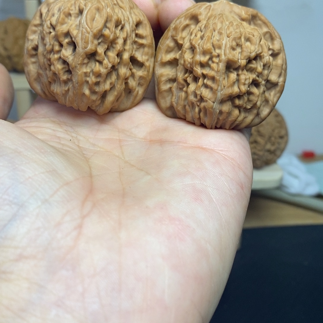 大叶紫檀（黑酸枝木类）44楼子