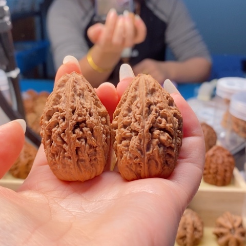 桃核把件W****7东北秋子50