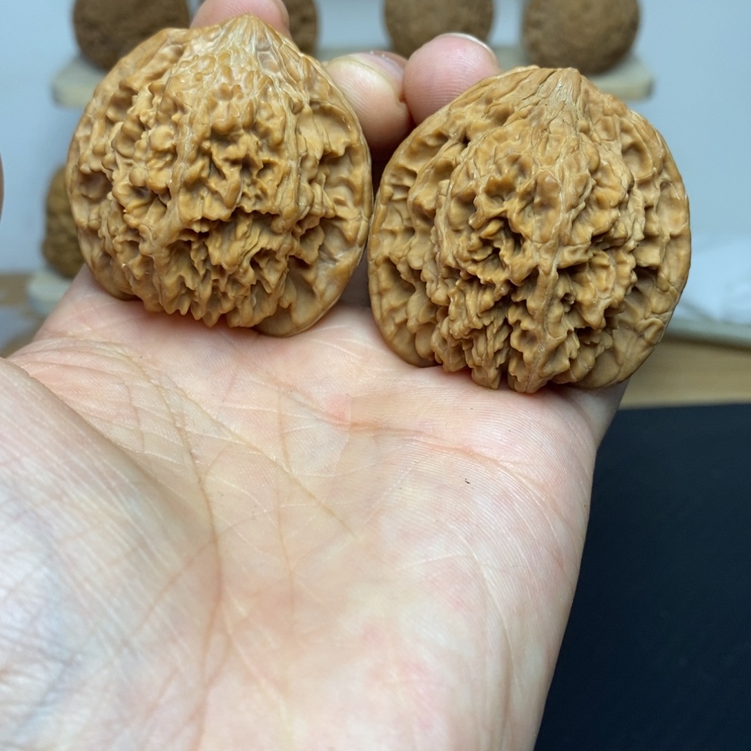 大叶紫檀（黑酸枝木类）44尺满天星一对