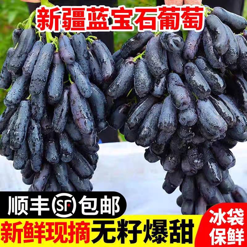 （沈阳发货）美人指葡萄3/3.5斤无籽 新疆 顺丰包邮新疆维吾尔自治区