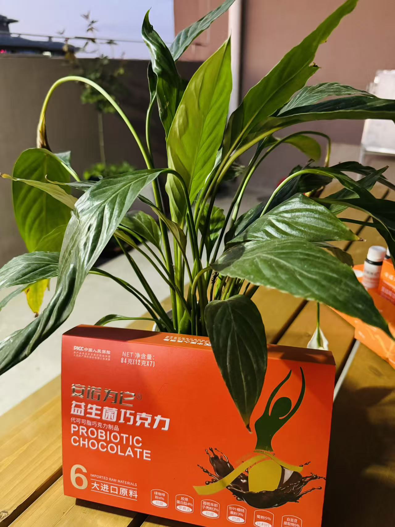 安诺为它益生菌巧克力零食套盒
