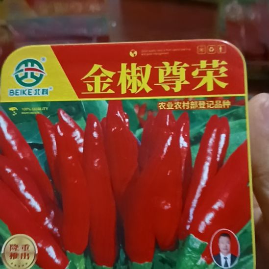 中国大陆柘城辣椒大市场