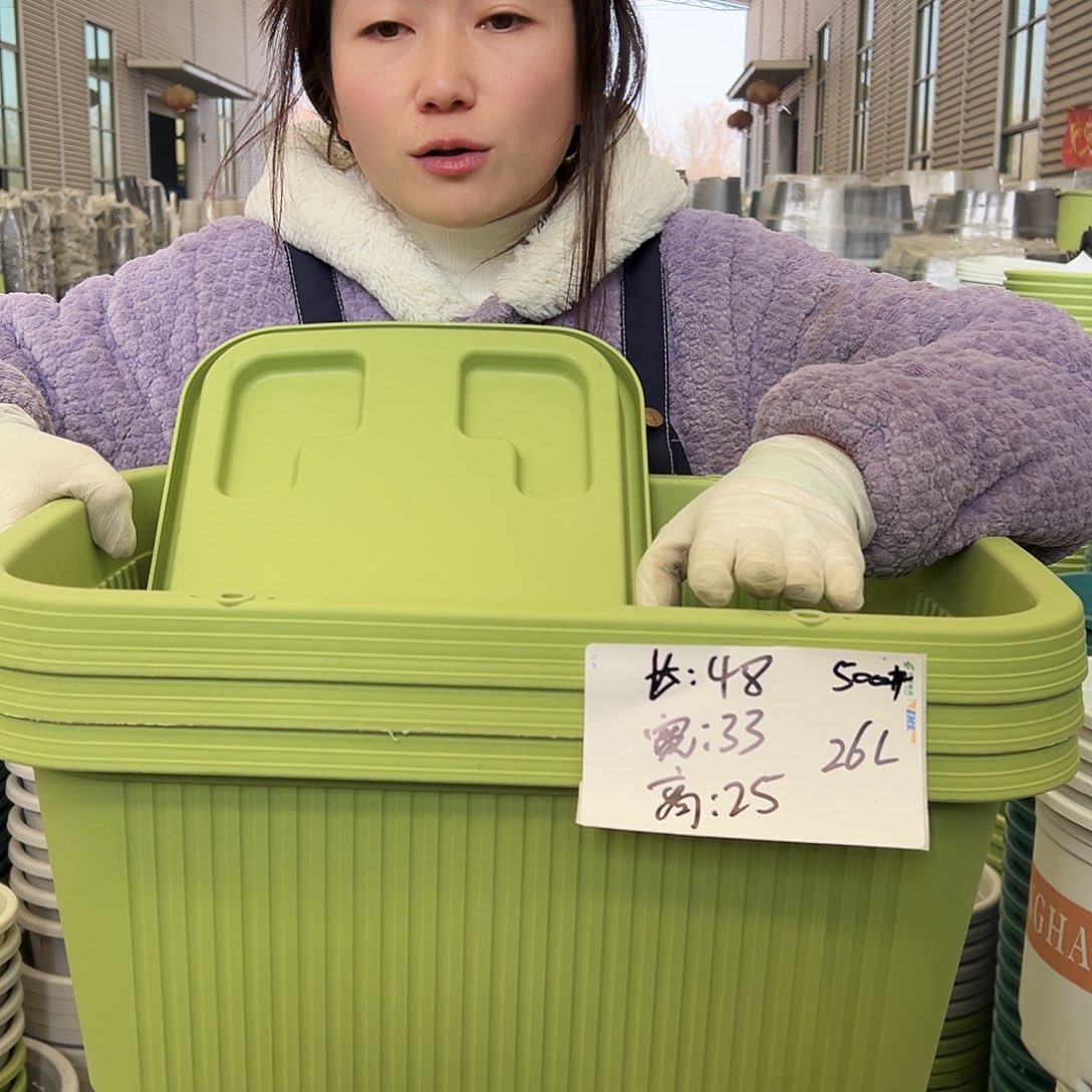 菜盆500#果绿3个（含托）