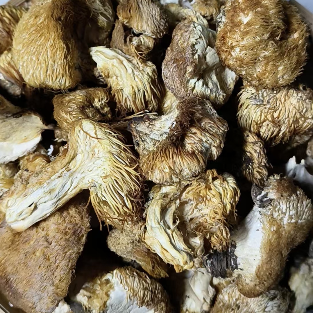 东北野生猴头菇干品煲汤调理食用佳品