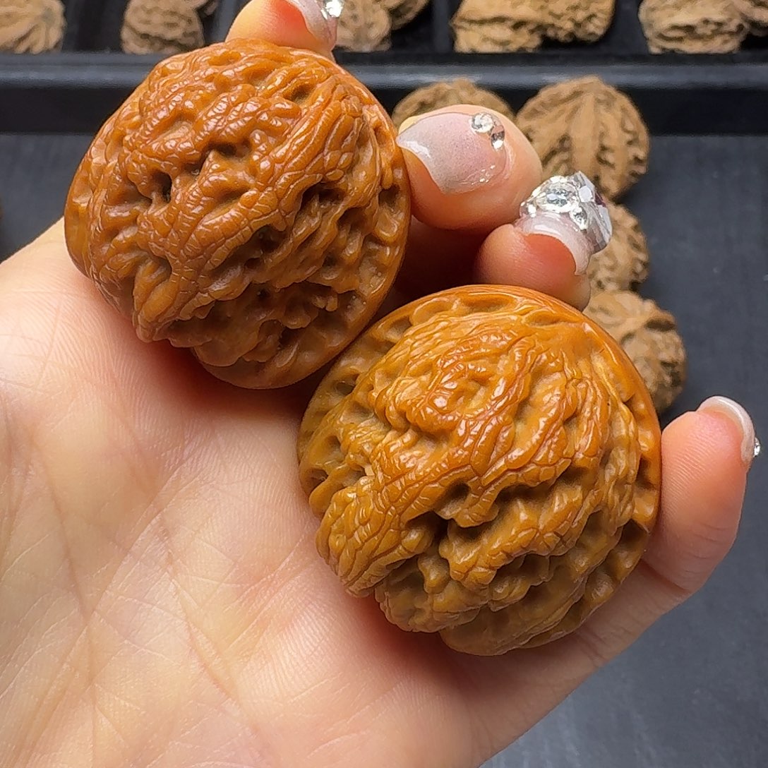 桃木突突突突突突