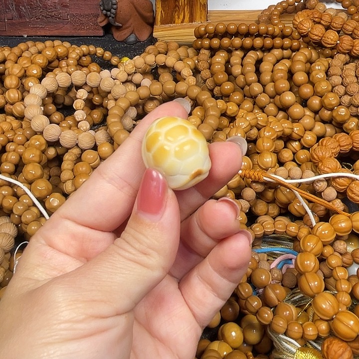 木炘****易龟甲。       