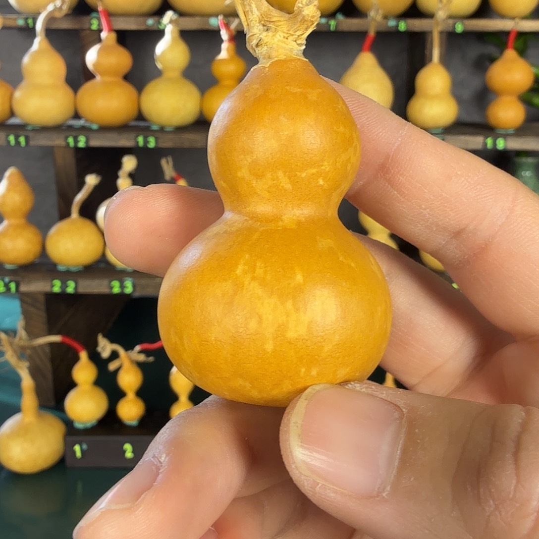 葫芦葫芦葫芦葫芦葫芦葫芦