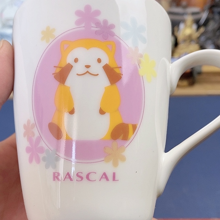 瓷片新箱到货！福利满满，捡漏！