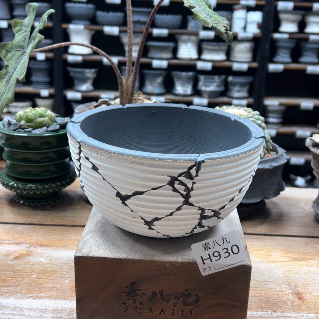 素八九陶瓷内口15.5高9.5