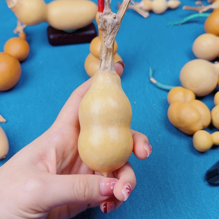 ?****東湖光山色是生生世世去