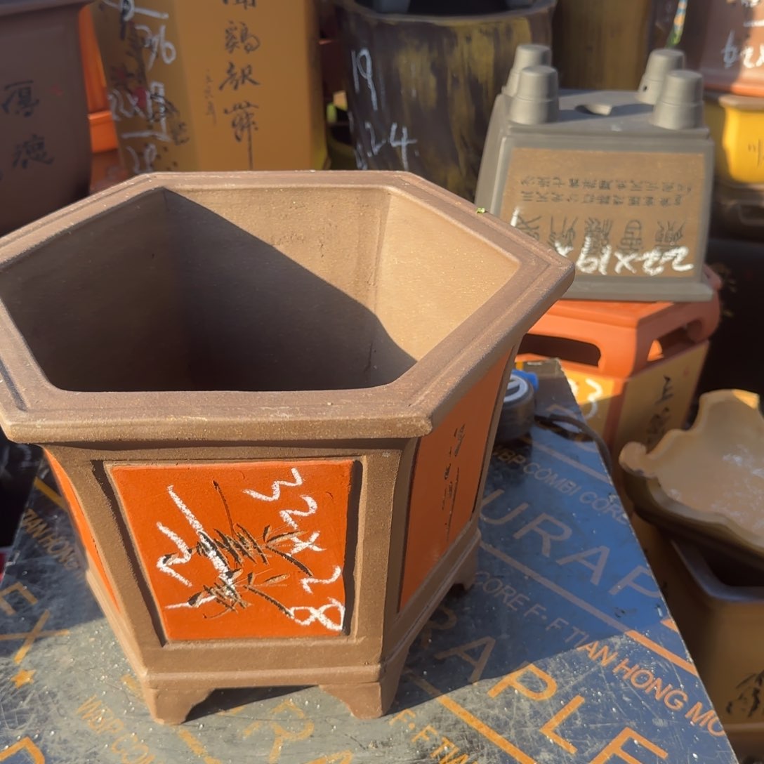 紫砂花盆花盆盆盆栽