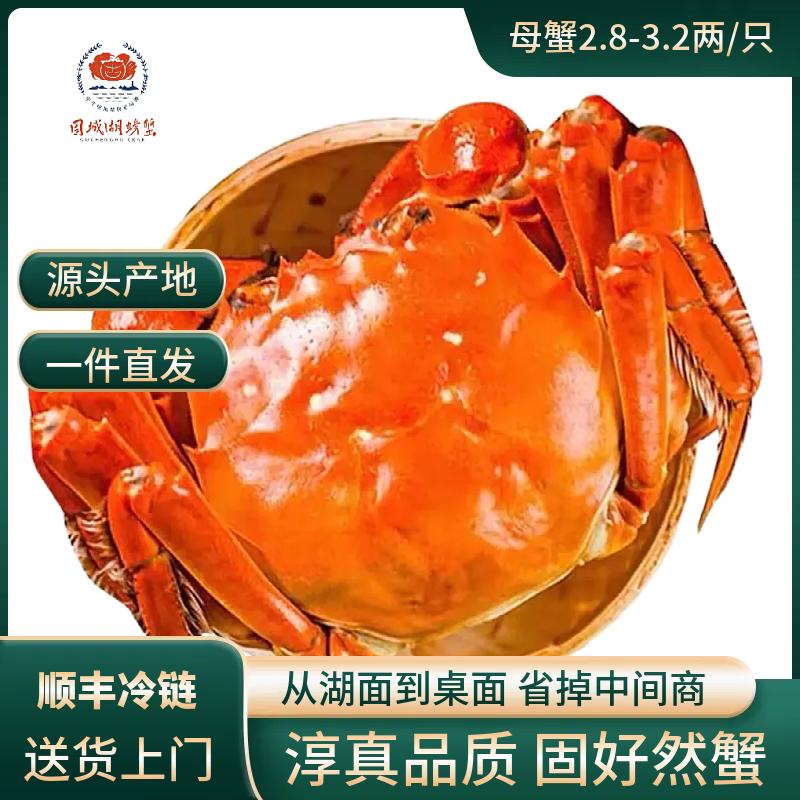 固城湖螃蟹【活蟹】江苏固城湖大闸蟹母蟹3.1-2.8两/只到手10只装 