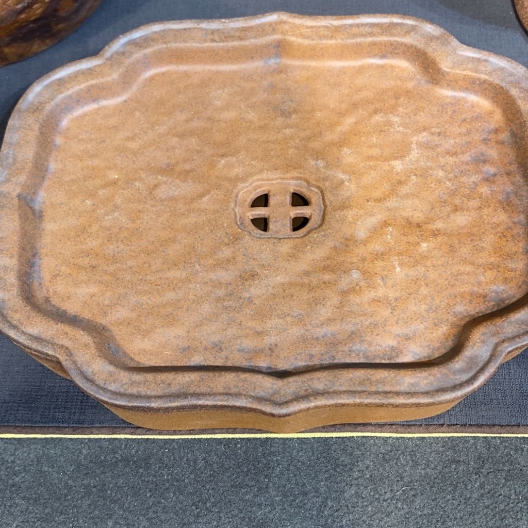 瓷片我是真的爱过你们还能