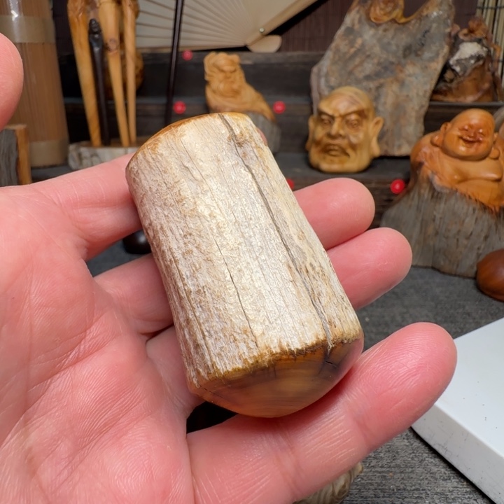 柏木（崖柏）我的小可爱小猫咪