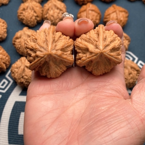 橄榄核手串/手链茄*文山三棱