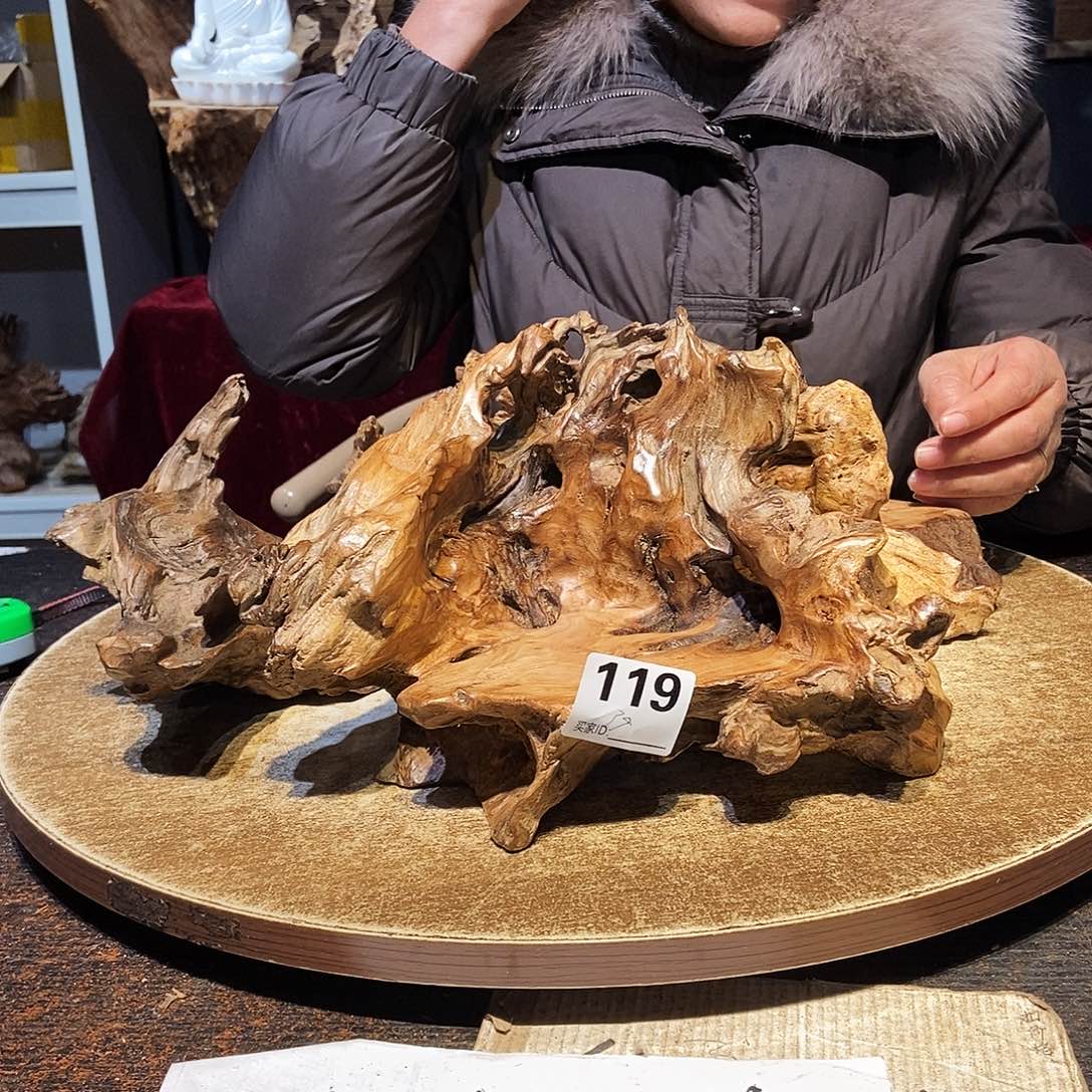 影***子119。株木随行根艺