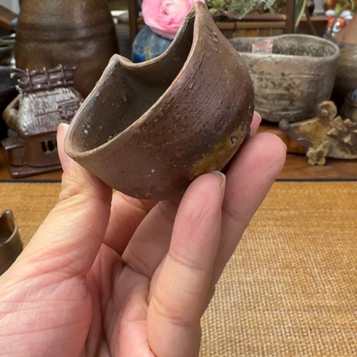土器女士小猫杯福利一口价