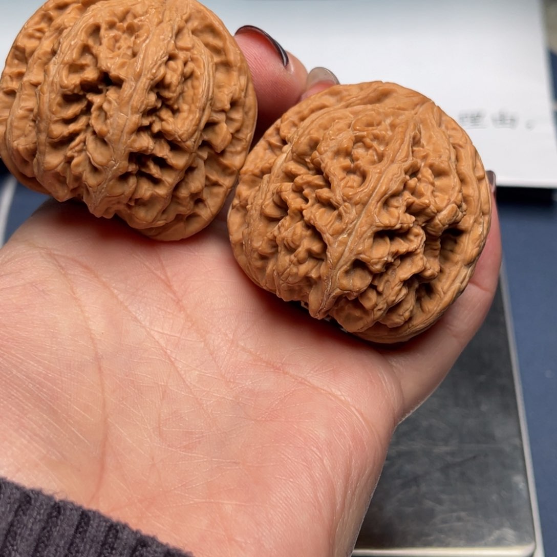 文玩核桃把件粗筋46