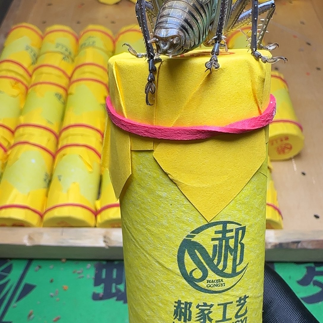 祝***梦蝈蝈郝建伟精品大包一条